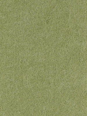 ASPARAGUS