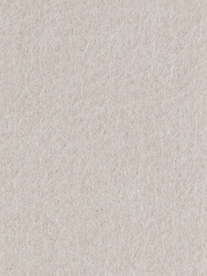 LATTE01