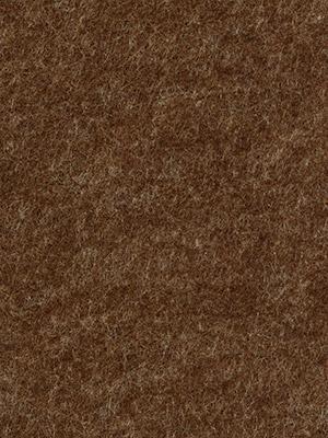 PECAN