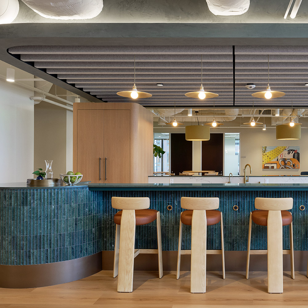 Blox-Home-Ceilings